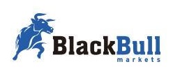BLACK BULL MARKETS